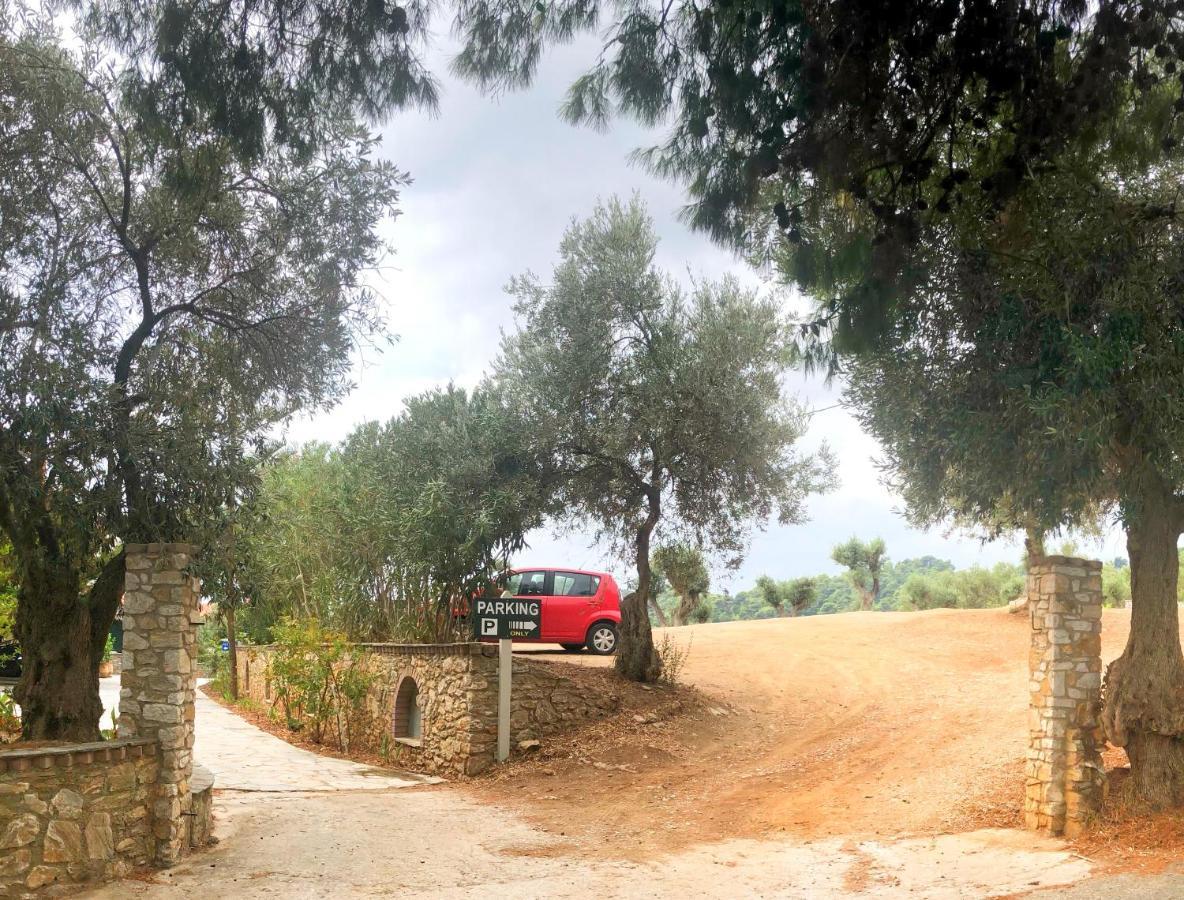 Azzurro Hotel Katsaros  Eksteriør billede